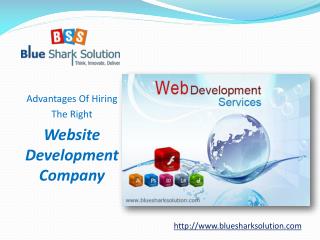 Advantages of hiring the right website development company:
