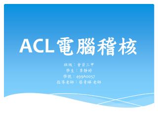 ACL 電腦稽核