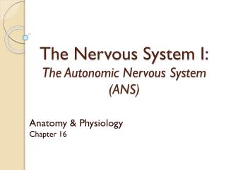 The Nervous System I: The Autonomic Nervous System (ANS)