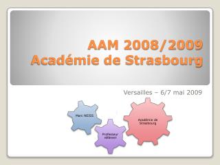 AAM 2008/2009 Académie de Strasbourg