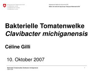 Bakterielle Tomatenwelke Clavibacter michiganensis Céline Gilli