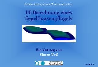 FE Berechnung eines Segelflugzeugflügels