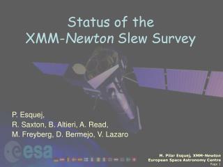 Status of the XMM- Newton Slew Survey