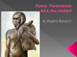 Homo Floresiensis AKA the Hobbit