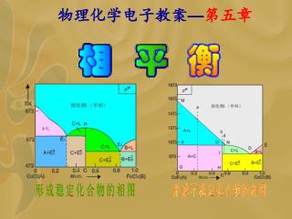 物理化学电子教案 — 第五章