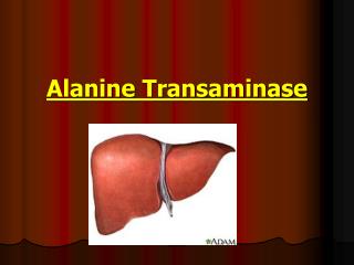 Alanine Transaminase