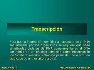 Transcripción