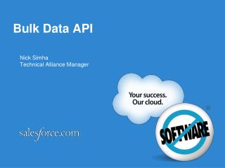 Bulk Data API