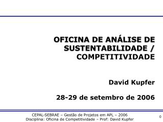 OFICINA DE ANÁLISE DE SUSTENTABILIDADE / COMPETITIVIDADE David Kupfer 28-29 de setembro de 2006