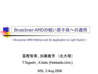 Brueckner-AMD の軽い原子核への適用