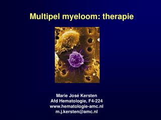 Multipel myeloom: therapie