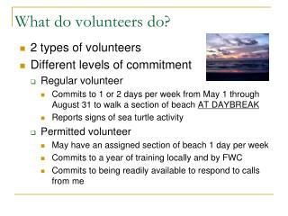 What do volunteers do?