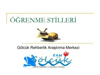 ÖĞRENME STİLLERİ