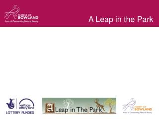 A Leap in the Park