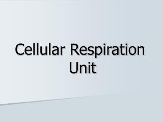 Cellular Respiration Unit