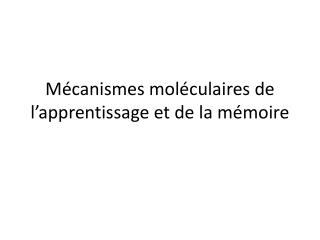 Mécanismes moléculaires de l’apprentissage et de la mémoire