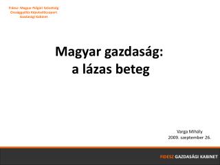 Magyar gazdaság: a lázas beteg