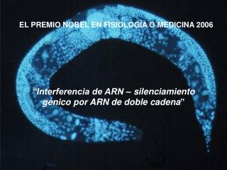 “Interferencia de ARN – silenciamiento génico por ARN de doble cadena ”