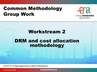 Common Methodology Group Work