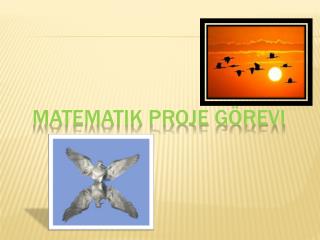 matematik proje görevi