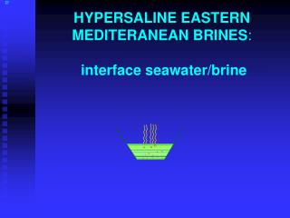 HYPERSALINE EASTERN MEDITERANEAN BRINES : interface seawater/brine