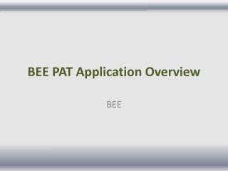 BEE PAT Application Overview