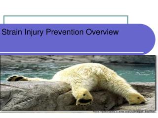 Strain Injury Prevention Overview