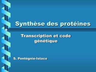 Synthèse des protéines