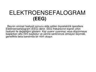 ELEKTROENSEFALOGRAM