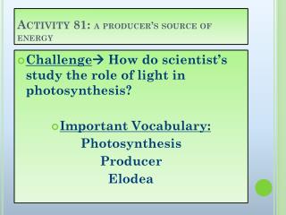 Activity 81: a producer’s source of energy
