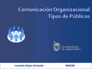 Comunicación Organizacional Tipos de Públicos