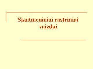 Skaitmeniniai rastriniai vaizd ai