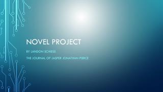 Novel Project