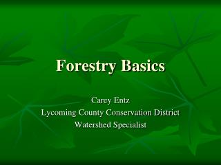 Forestry Basics