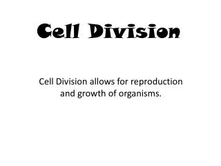 Cell Division