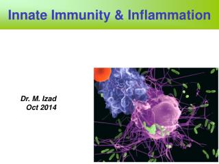 Innate Immunity &amp; Inflammation