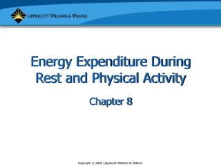 Energy Expenditure During Rest and Physical Activity