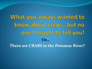 What you always wanted to know about crew….but no one thought to tell you!