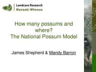How many possums and where? The National Possum Model