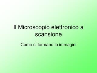 Il Microscopio elettronico a scansione