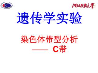 遗传学实验