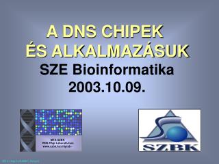 MTA SZBK DNS - Chip Laborat órium szbk.hu/chiplab~