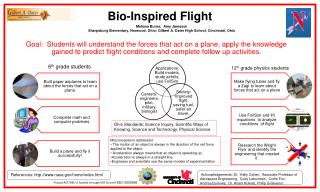 Bio-Inspired Flight