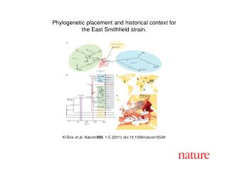 KI Bos et al . Nature 000 , 1 - 5 (2011) doi:10.1038/nature10549