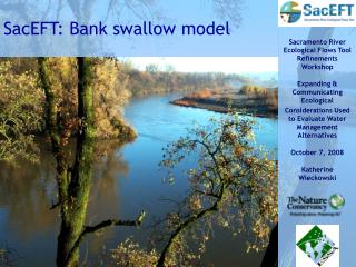 SacEFT: Bank swallow model
