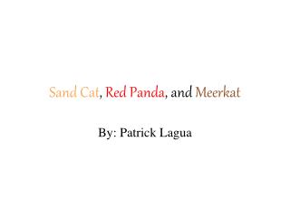 Sand Cat , Red Panda , and Meerkat