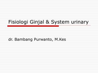 Fisiologi Ginjal &amp; System urinary