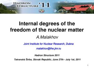 Internal degrees of the freedom of the nuclear matter