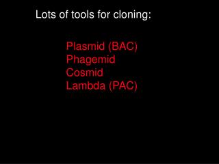 Plasmid (BAC) Phagemid Cosmid Lambda (PAC)