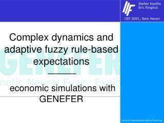 Complex dynamics and adaptive fuzzy rule-based expectations economic simulations with GENEFER